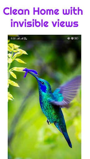 Android application Binary Launcher screenshort