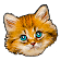Kittenistry icon