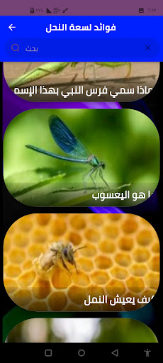 حشرات وكائنات دقيقة Screen 3