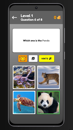 Animals Quiz Screen 3