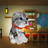 3D Cat simulator icon