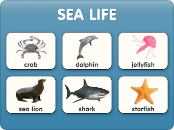 Animal sounds and flashcards for Kids