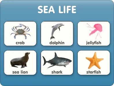 Animal flashcards with video - Apps on Google Play
