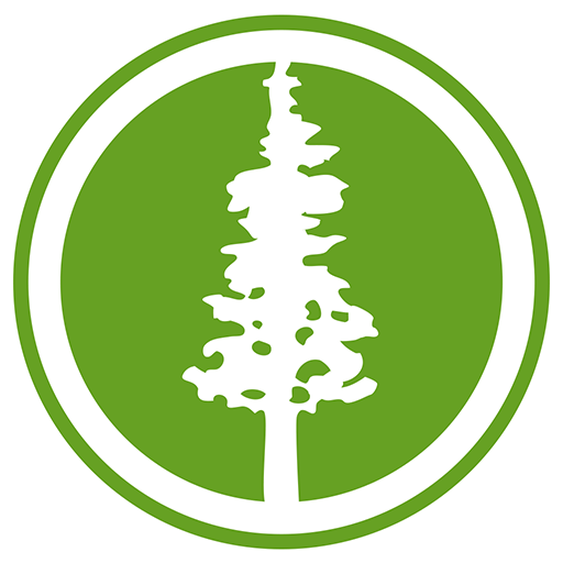 PaloAlto311 logo
