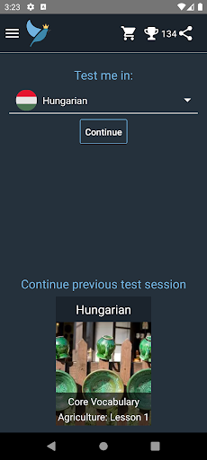 Android application Hungarian Language Tests screenshort