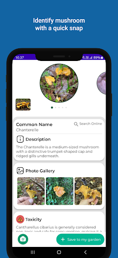 Android application Mushroom identifier screenshort