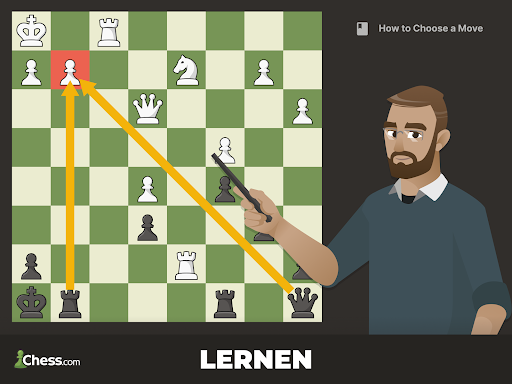 Schach - Spielen und Lernen