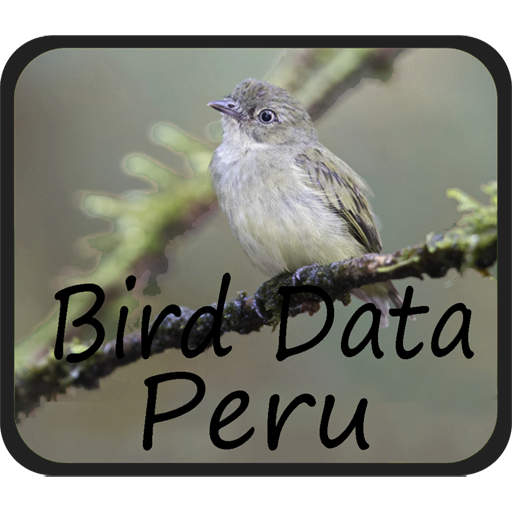 Bird Data - Peru  Icon