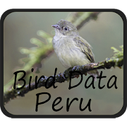 Bird Data - Peru