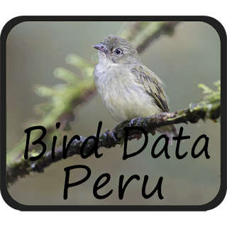 Bird Data - Peru