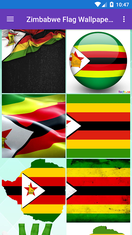 Zimbabwe Country Flag - 1.0.40 - (Android)