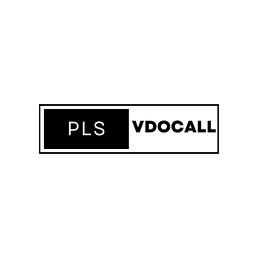plsvideocall logo