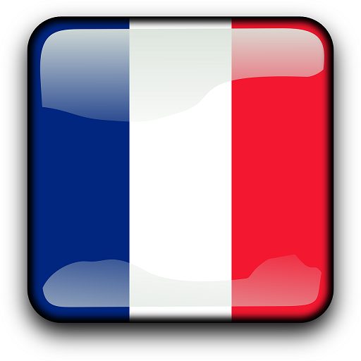 Impara il francese logo