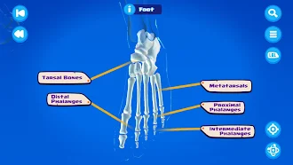 Game screenshot U.S. Army STARS Anatomy hack