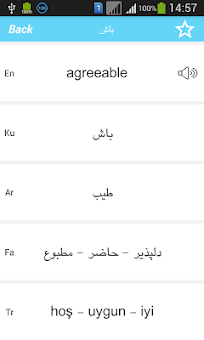 Rebin Dictionary - Kurdish screenshot 3