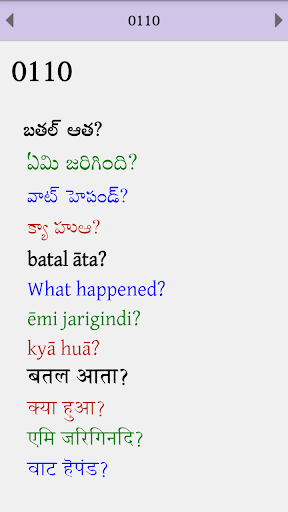 Gondi (Adilabad) Phrasebook Screen 2