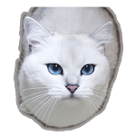 Cover Image of Descargar cat stickers for whatsapp - WA  APK