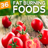 Fat Burning Foods icon