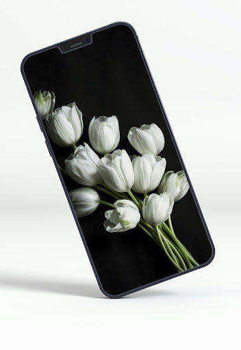 Android application Tulips Wallpapers screenshort