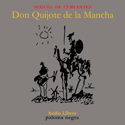 Obraz ikony: Don Quijote de la Mancha