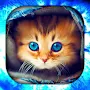 Kitten Wallpaper Live HD/3D/4K