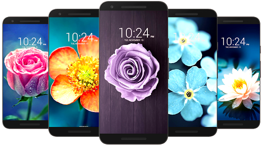 ? Flower Wallpaper HD ?