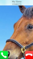 screenshot of fake call horse game care