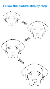 How To Draw Animal