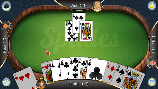 Spades: Card Game Unknown