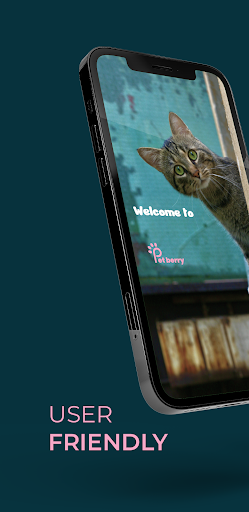 Petberry Screen 2