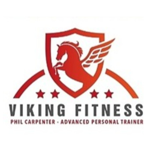 Viking Fitness180 logo