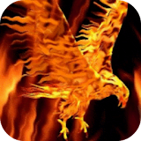 Firebird. Burning Eagle. icon