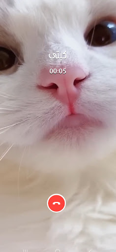 لعبة اتصال كيتي القطة فيديو Screen 3