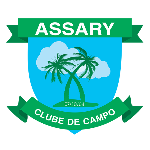 Assary Download on Windows