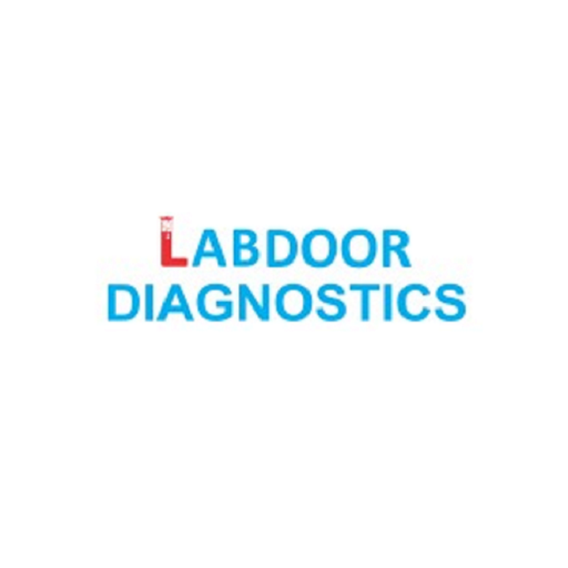 LabDoor Diagnostics Download on Windows