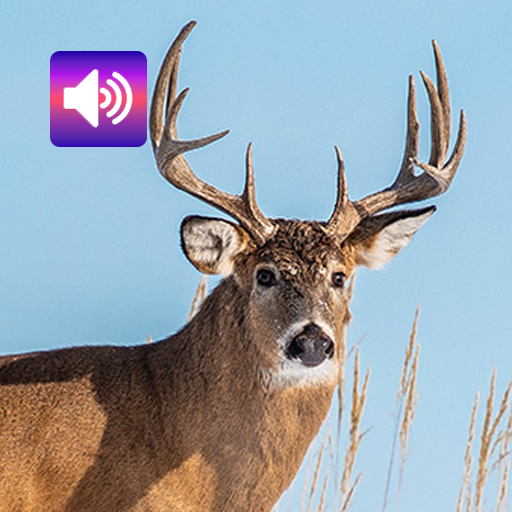 Deer: Sounds & Ringtones logo