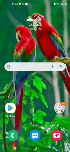 Parrot Wallpaper 2023 Screen 3