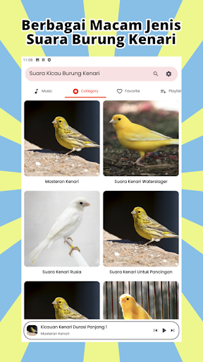 Kicau Burung Kenari MP3