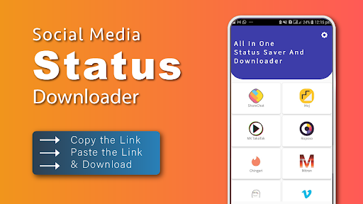 Media Status Downloader Screen 3