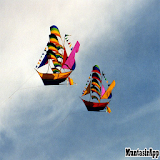 Unique Kites Ideas icon