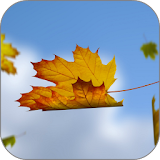 Falling Leaves Live Wallpaper icon