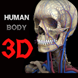 3D Human Body icon