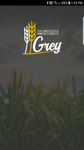 Android application Grey screenshort