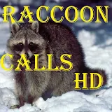 Raccoon Calls HD icon