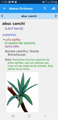 Diccionario Matses Screen 3