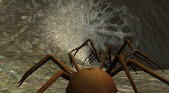 Spider Nest Simulator - insect