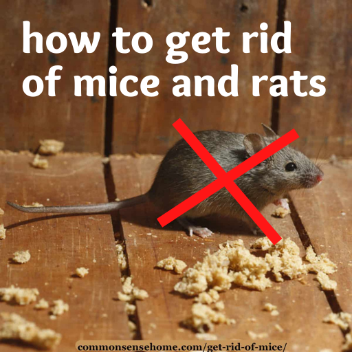 how to get rid of mice