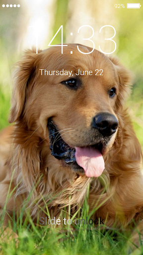 Golden Retriever Lock Screen Screen 3