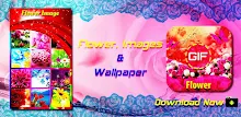Flower GIF APK