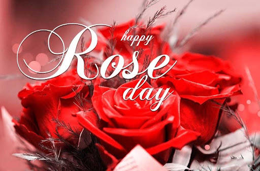 Happy Rose Day Screen 2